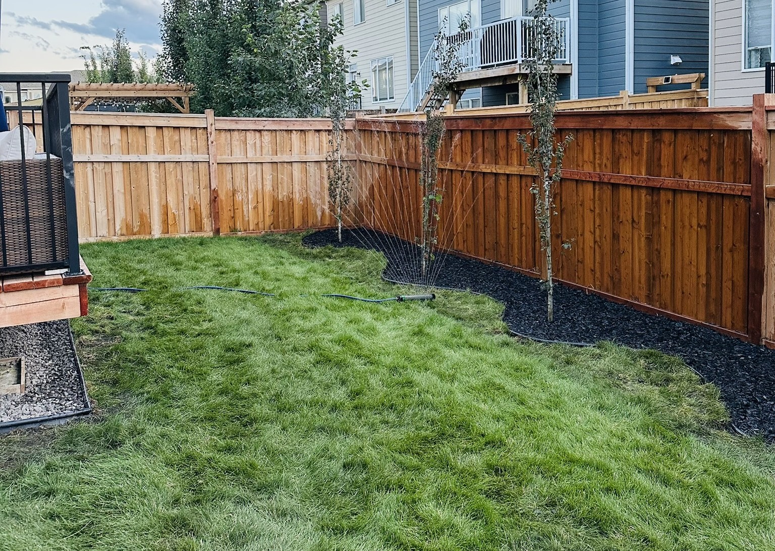 Sod Installation